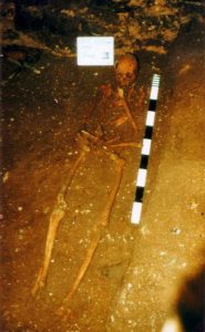 schl83_3